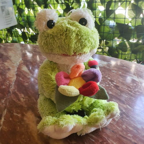Plush Frog like new with colorful flower