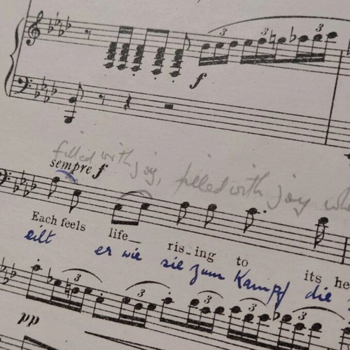 Carmen Opera Score used with notes in English and German