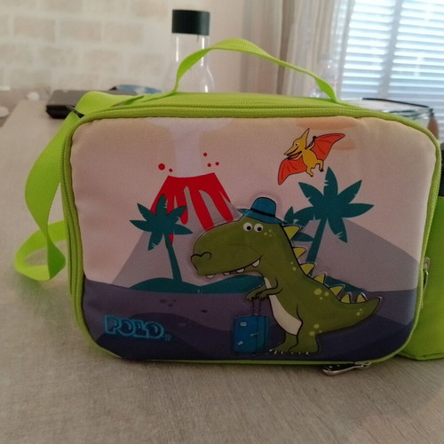 Insulated lunch bag and small backpack like new