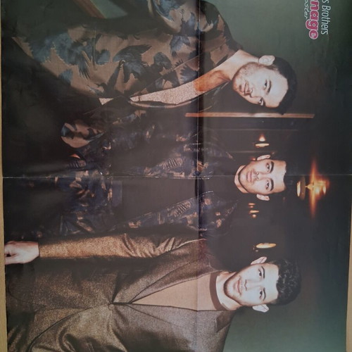 Ariana Grande Lady Gaga & Jonas Brothers giant poster