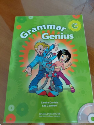 Grammar Genius C Teacher's Book like new, no CD