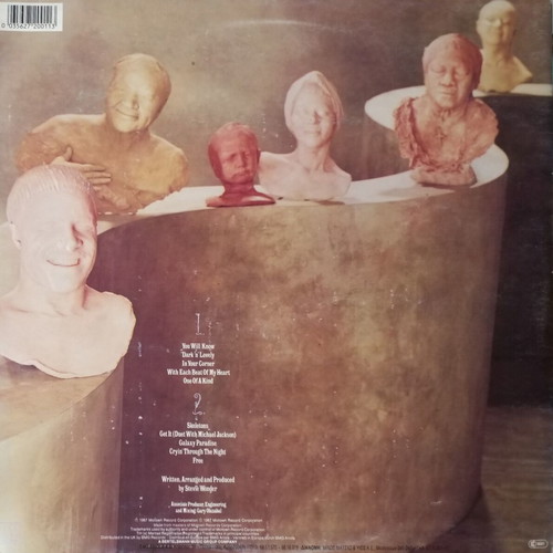 Stevie Wonder Characters vinyl LP album