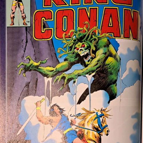 The Chronicles of King Conan Vol. 2 used, Vengeance from the Desert