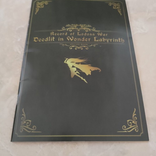 Record of Lodoss War Deedlit in Wonder Labyrinth Nintendo Switch game like new with artbook and OST CD