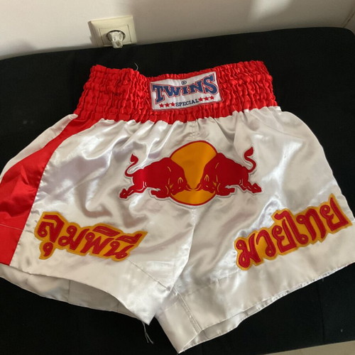 Twins martial arts shorts, men's size L, like new