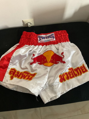 Twins martial arts shorts, men's size L, like new