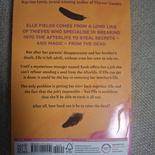 Hell to Pay book by Lora Beth Johnson, English paperback