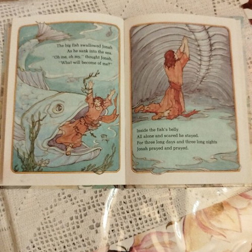 The Story of Jonah children's book like new, color illustrated in English