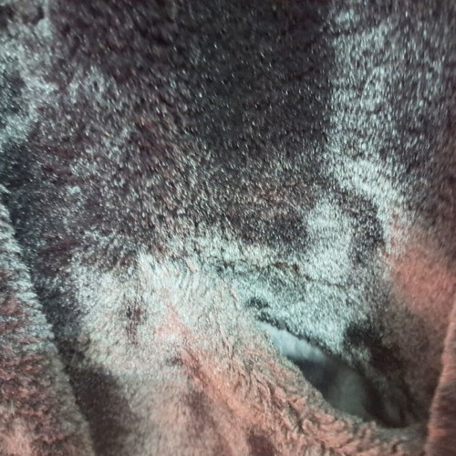 Only fur jacket black size M new