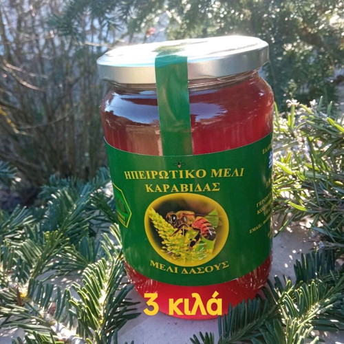 Forest honey new, pack of 3 kilos from Epirus