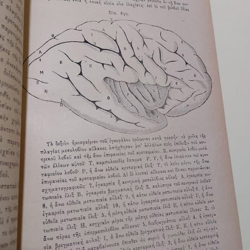 Anatomy of Man by Loukas Papaioannou Volume C used