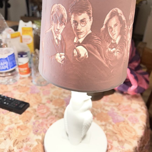 3D Harry Potter lamp