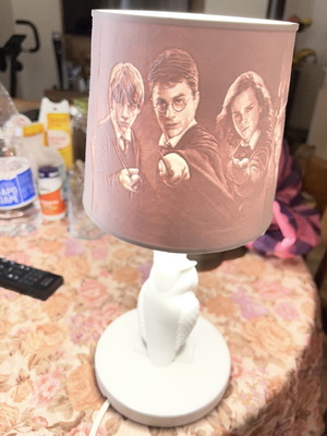 3D Harry Potter lamp