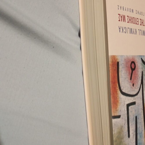The Political Philosophy of Our Time book like new