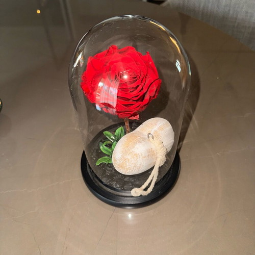 Forever rose used, red
