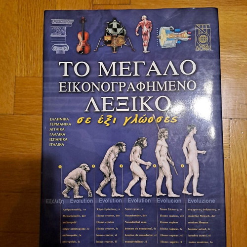 The Large Illustrated Dictionary like new, 1 volume