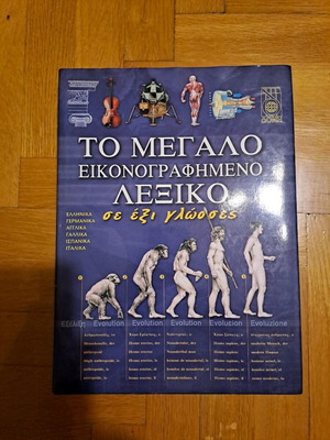 The Large Illustrated Dictionary like new, 1 volume