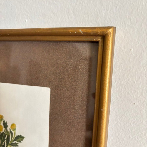 Vintage frame with floral design used, 27.5x27.5 cm