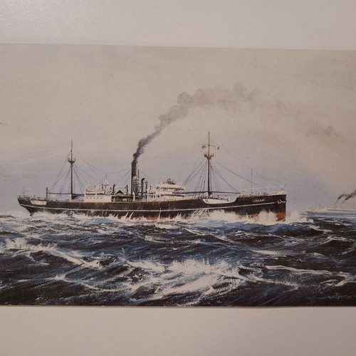 Greeting card used for Merry Christmas 1994 with "A/P Ioulia"