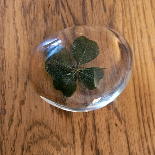 Dried clover in plexiglas like new