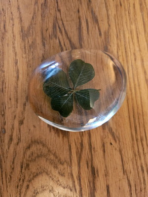 Dried clover in plexiglas like new