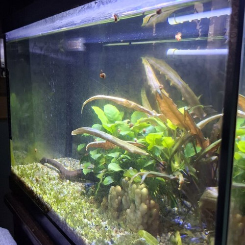 Aquarium used 50 liters fully equipped with LED and filter
