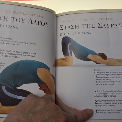 Yoga Illustrated Book Easy and Simple like new