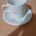Cup and mug set used
