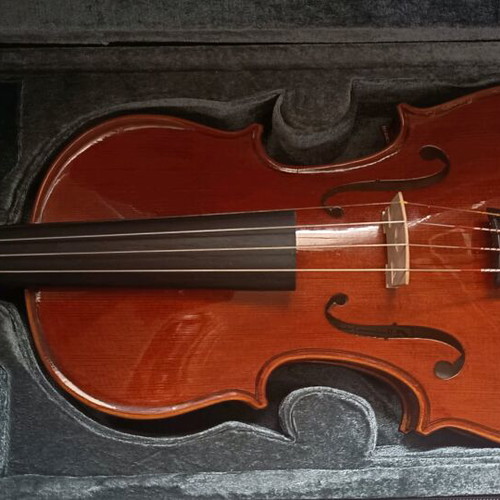 Stentor 4/4 violin like new with case and accessories