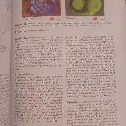 Introduction to Microbiology book like new