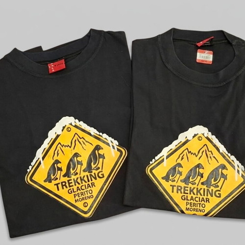 Perito Moreno Glacier Patagonia T-shirt used, sizes L and XL