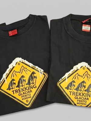 Perito Moreno Glacier Patagonia T-shirt used, sizes L and XL