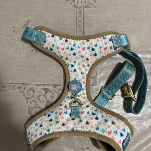 Dog harness like new, medium size with colorful hearts and blue straps