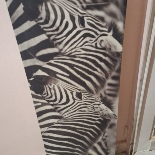 Canvas painting with zebras, like new, 30x90cm