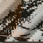  Φόρεμα V'ZAR'O