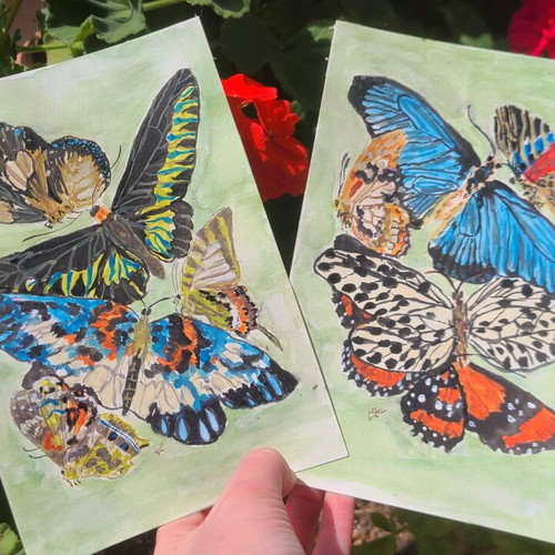 Handmade watercolor set with butterflies new