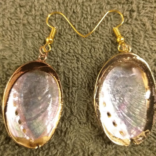 Abalone shell earrings