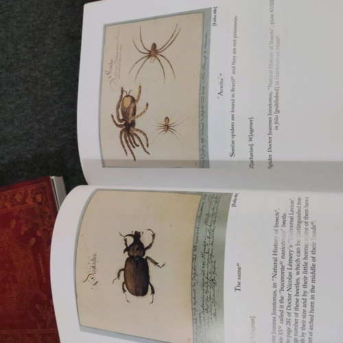 Dutch Brazil 3 volumes like new, animals birds and insects in box set