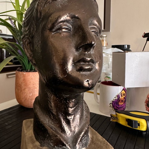 Collectible bust new, copper plated