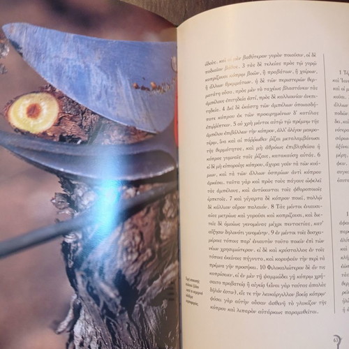 Ampelourgein book used, Ktima Chatzimichali