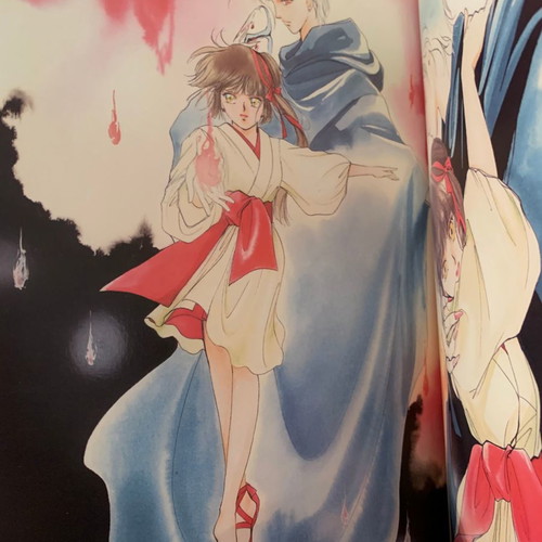 Vampire Princess Miyu Artbook new, collectible, excellent condition