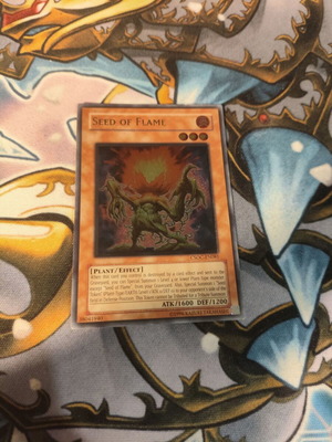 Seed of Flame Yu-Gi-Oh! card ultimate rare in moderate condition