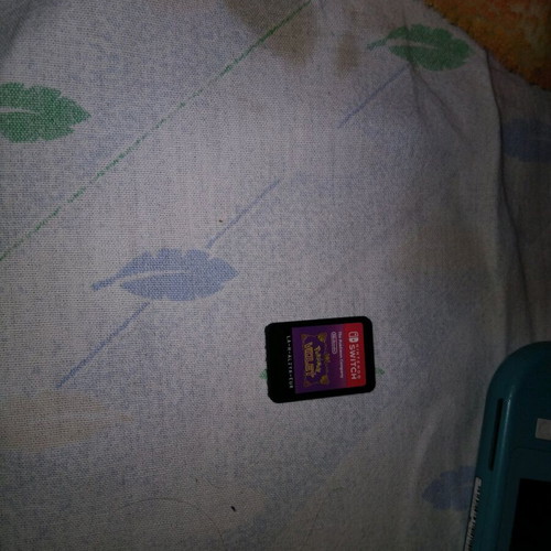 Nintendo Switch Lite used with game set