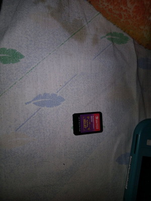 Nintendo Switch Lite used with game set