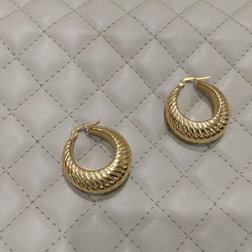 Earrings new, never worn