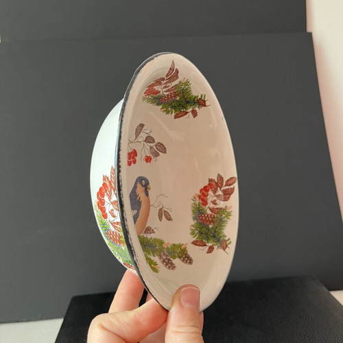 Vintage enamel bowl USSR with bullfinch design, 18cm, like new