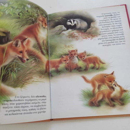 Ta zoakia sto dasos children's book used