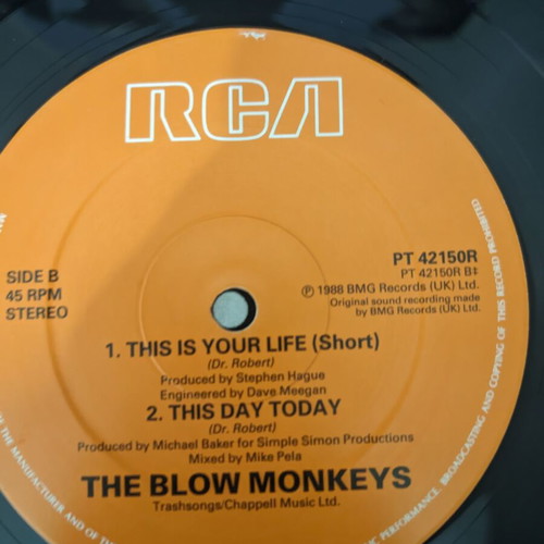 The Blow Monkeys This Is Your House album