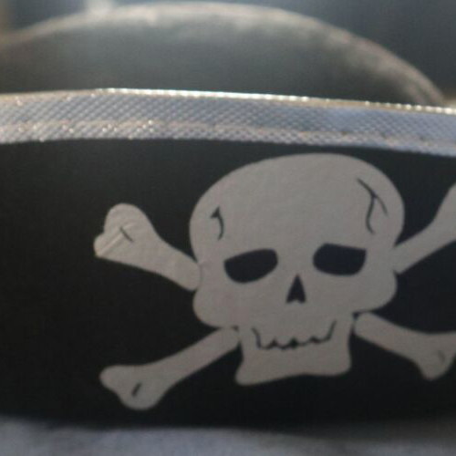 Carnival pirate hat new