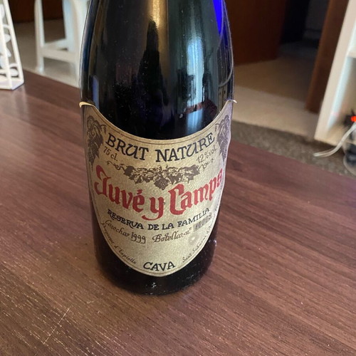 Juve y Camps Brut Nature Cava 1999 vintage, new